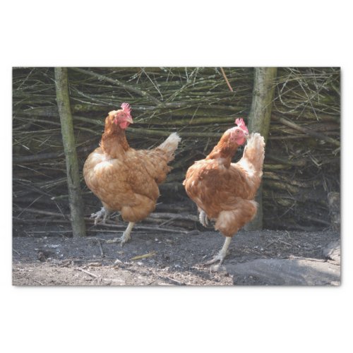 Dancing Chickens Tissue Paper