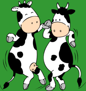 Cow dance