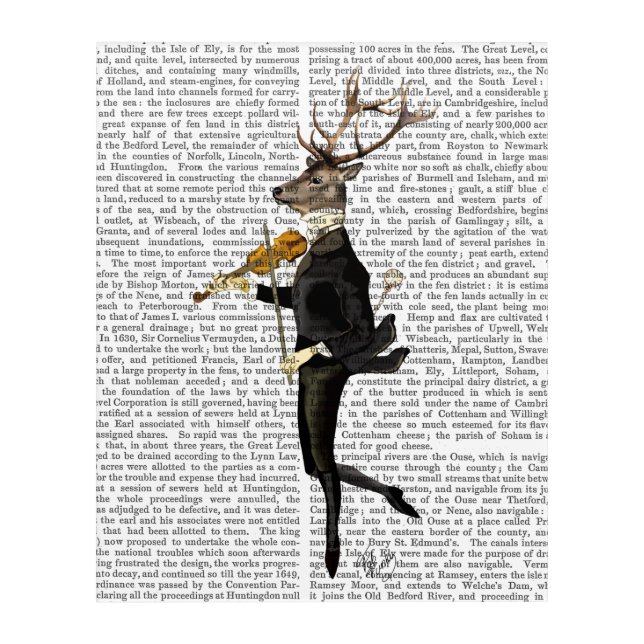 Dancing Deer with Violin Acrylic Print (Front)