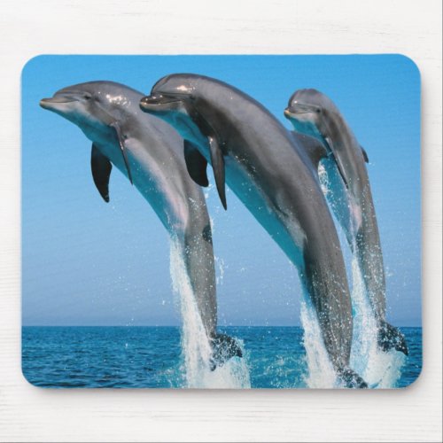 Dancing dolphins mouse pad