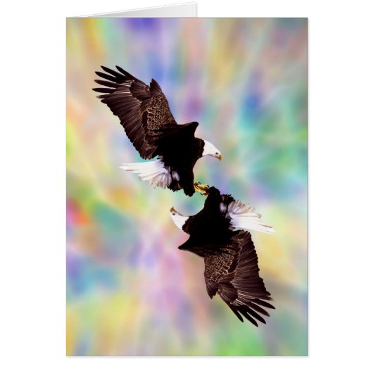 Dancing eagles cards (Front)