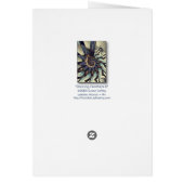 Dancing Feathers II Cards (Back)