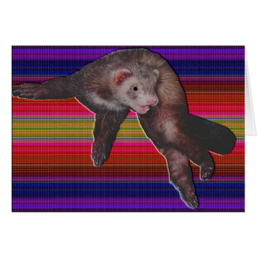 Dancing Ferret Cards (Front Horizontal)