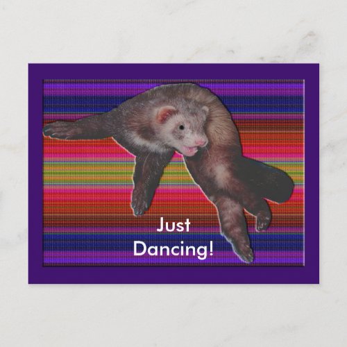 Dancing Ferret Postcard