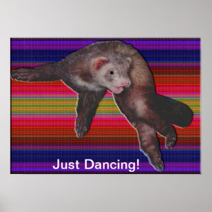 Dancing Ferret Poster
