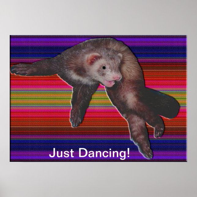 Dancing Ferret Poster (Front)
