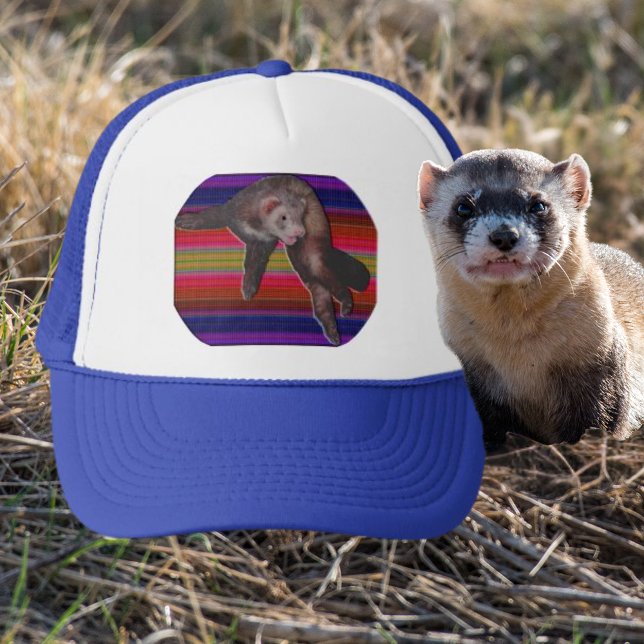 Dancing Ferret with Colorful Striped Background Trucker Hat (Dancing Ferret with Colorful Striped Background Trucker Hat)