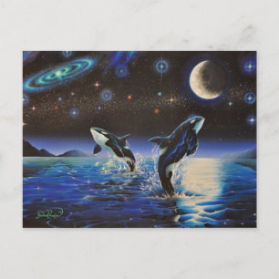 Dancing in the Stars, Postcards