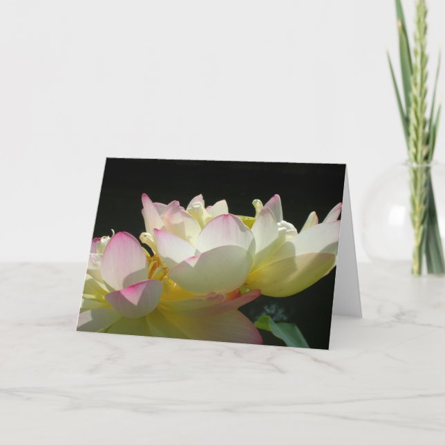 Dancing Lotus Card (Front)