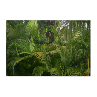 Dancing Palms: Light and Shadow Acrylic Print