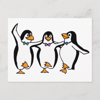 Dancing Penguins Postcard by StillImages at Zazzle