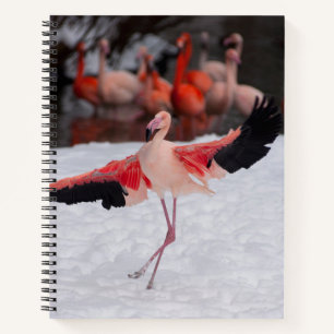 Dancing pink Flamingo doing the Flamenco photo Notebook