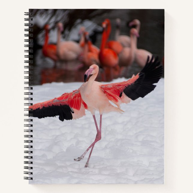 Dancing pink Flamingo doing the Flamenco photo Notebook (Front)