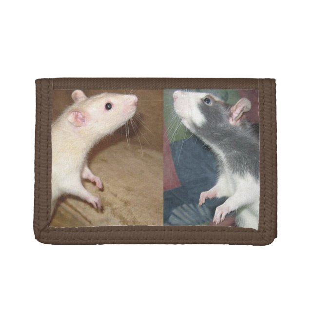 DANCING RAT WALLET (Front)