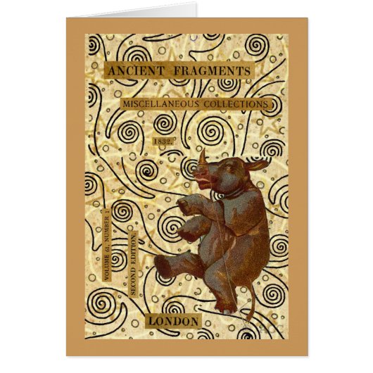 Dancing Rhino Cards (Front)