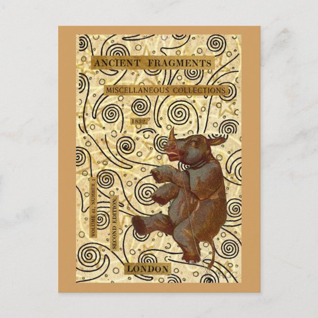 Dancing Rhino Postcard (Front)
