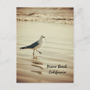 Dancing Seagull Postcard