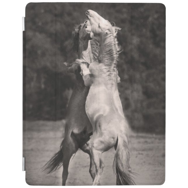 Dancing Stallions iPad Smart Cover (Front)