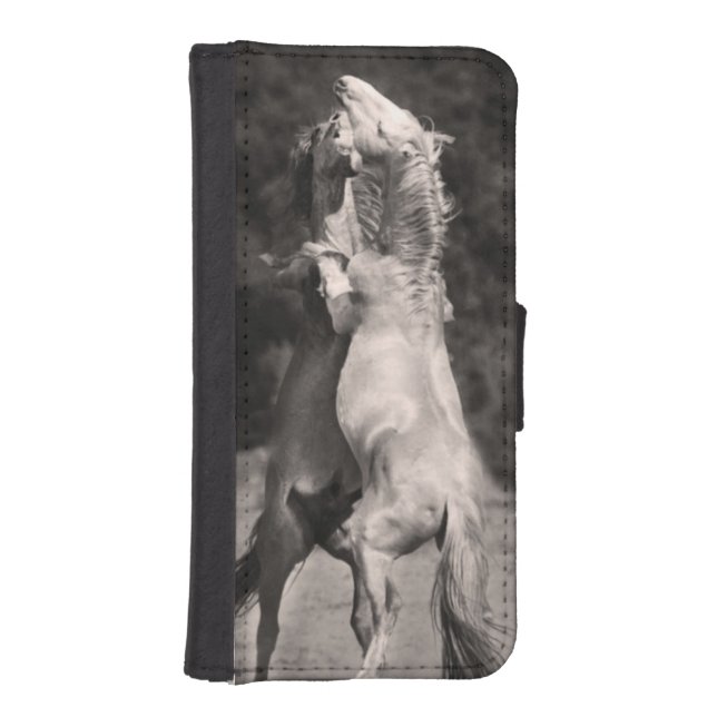 Dancing Stallions iPhone Wallet Case (Front)