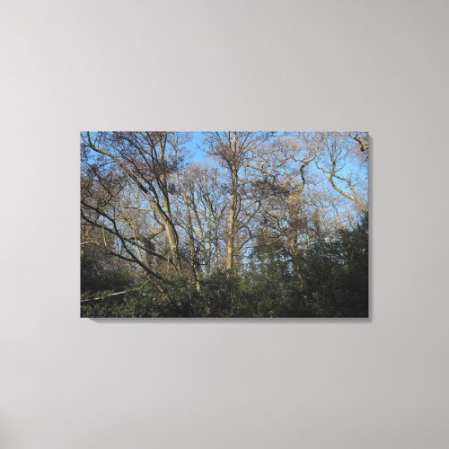 Dancing Trees of the Wild Wood Canvas Print