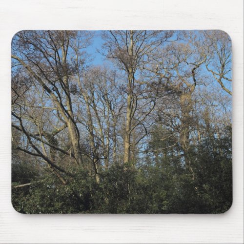 Dancing Trees of the Wild Wood Mouse Pad