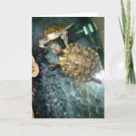 “Dancing Turtles” Thank You Card