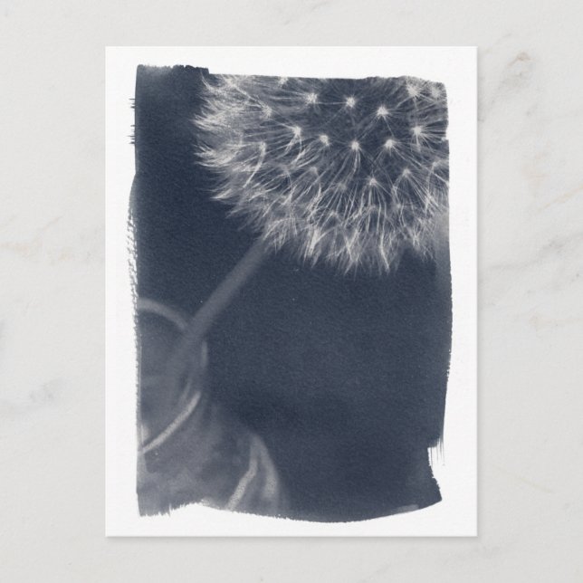 Dandalion Coffee Cyanotype Postcard (Front)
