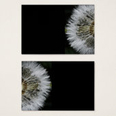 Dandelion (Front & Back)