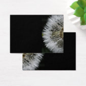 Dandelion (Desk)