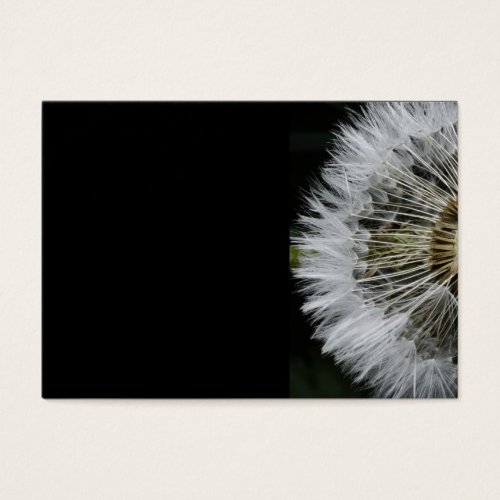 Dandelion Business Card Templates