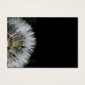 Dandelion (Back)