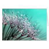 Dandelion (Front Horizontal)