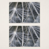 Dandelion (Front & Back)