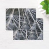 Dandelion (Desk)
