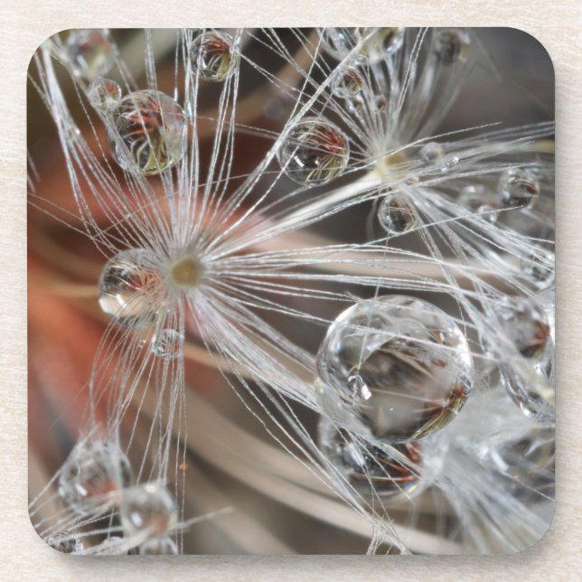 Dandelion Abstract Beverage Coaster (Front)