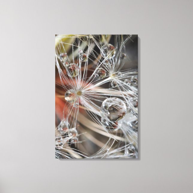 Dandelion Abstract Canvas Print (Front)