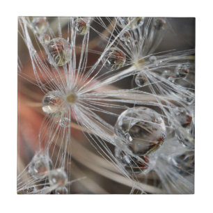 Dandelion Abstract Ceramic Tile