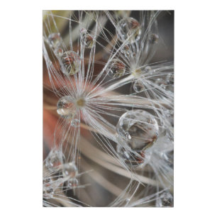 Dandelion Abstract Faux Canvas Print
