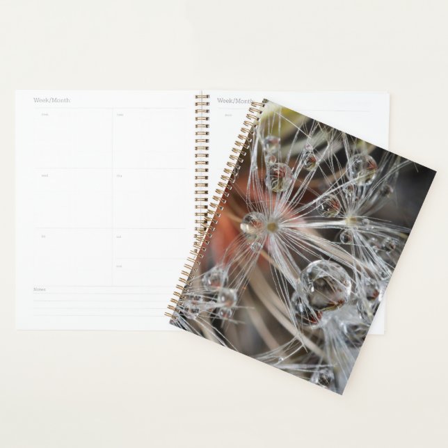 Dandelion Abstract Planner (Display)