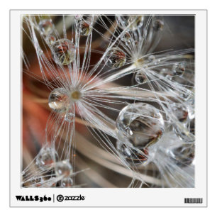 Dandelion Abstract Wall Decal