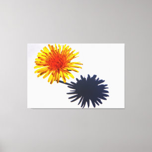 Dandelion and Shadow 60x40 (150x100cm) waccnm Canvas Print