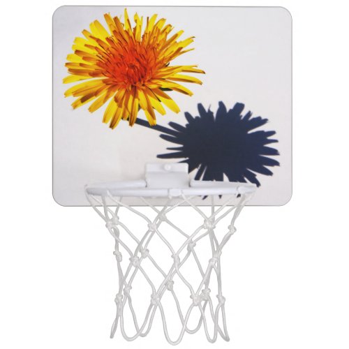 Dandelion and Shadow bgcn Mini Basketball Hoop