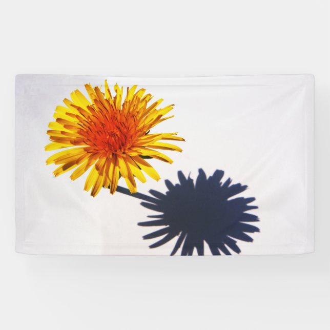 Dandelion and Shadow bnrm Banner (Horizontal)