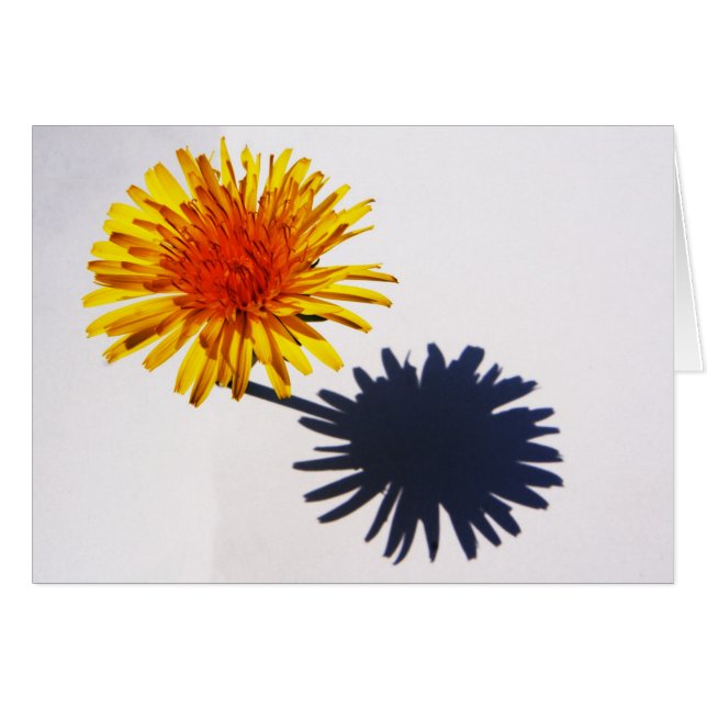 Dandelion and Shadow gca Cards (Front Horizontal)