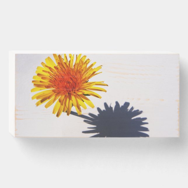Dandelion and Shadow wbs8x4cna Wooden Box Sign (Front Horizontal)