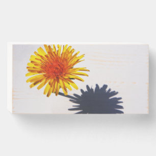 Dandelion and Shadow wbs8x4cnm Wooden Box Sign
