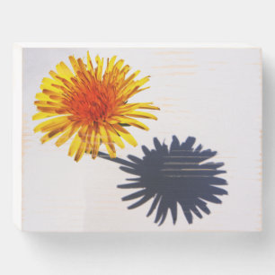 Dandelion and Shadow wbs8x6cnm Wooden Box Sign