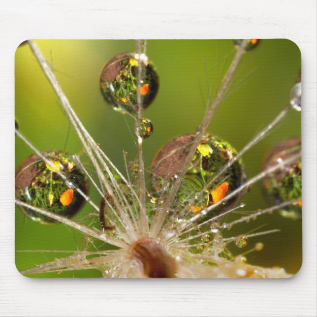 Dandelion And Water Droplets Mouse Pad (Front)