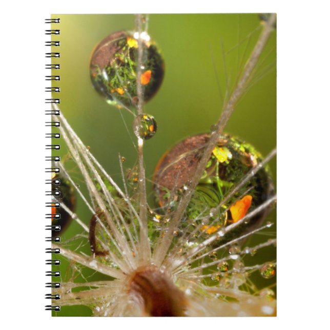 Dandelion And Water Droplets Notebook (Front)
