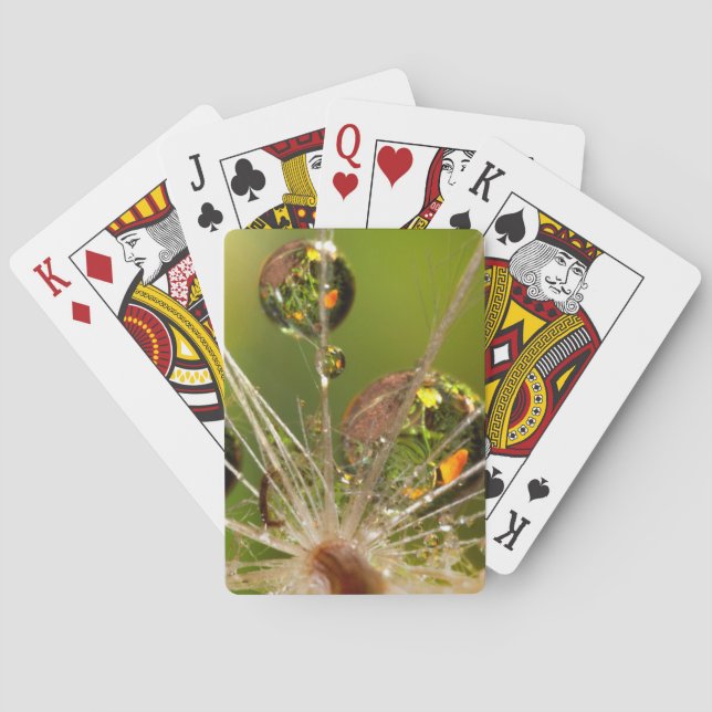 Dandelion And Water Droplets Poker Cards (Back)